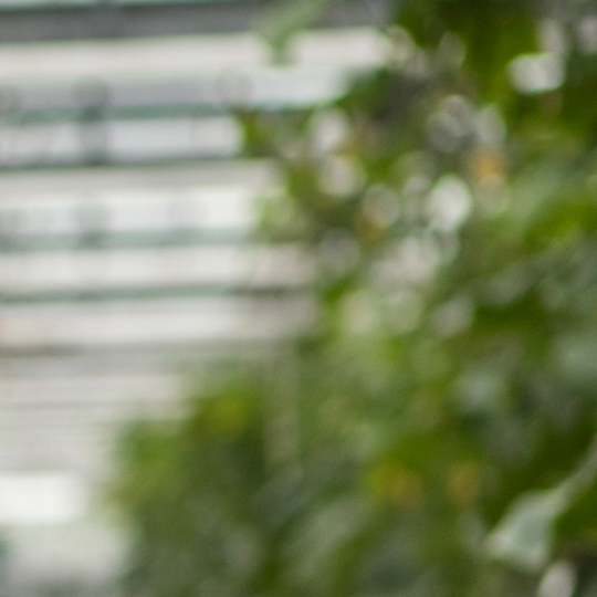 GettyImages-2155075093 2