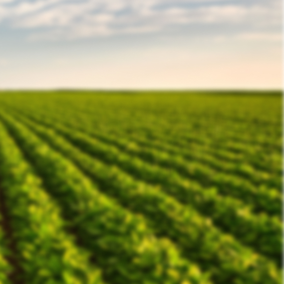 GettyImages-974657466 1