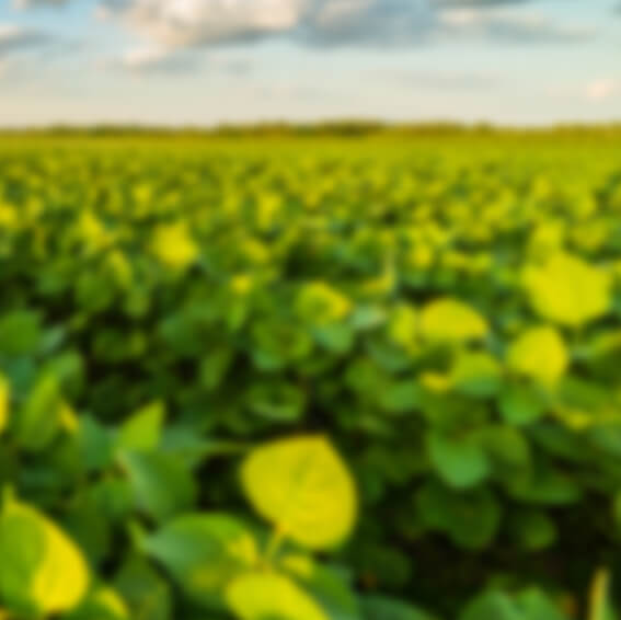 GettyImages-974657466 1